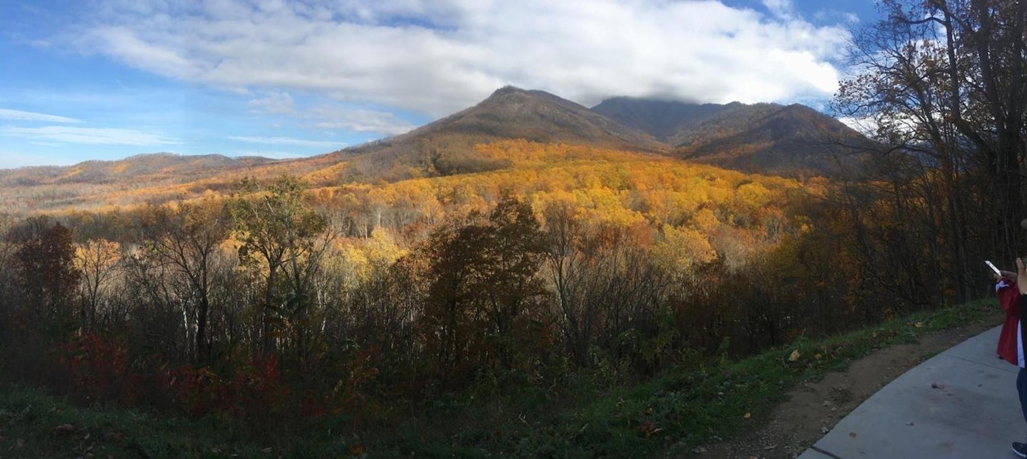 Serene Mountain And Sunset Views 3Bd Cabin Franklin Exterior foto